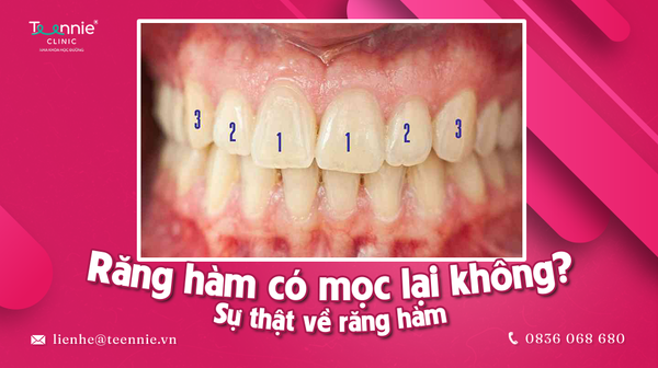 rang ham co moc lai khong 2f25540216684ccb8c36595481056a31 grande