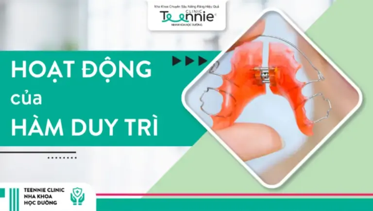 Hoạt động của hàm duy trì