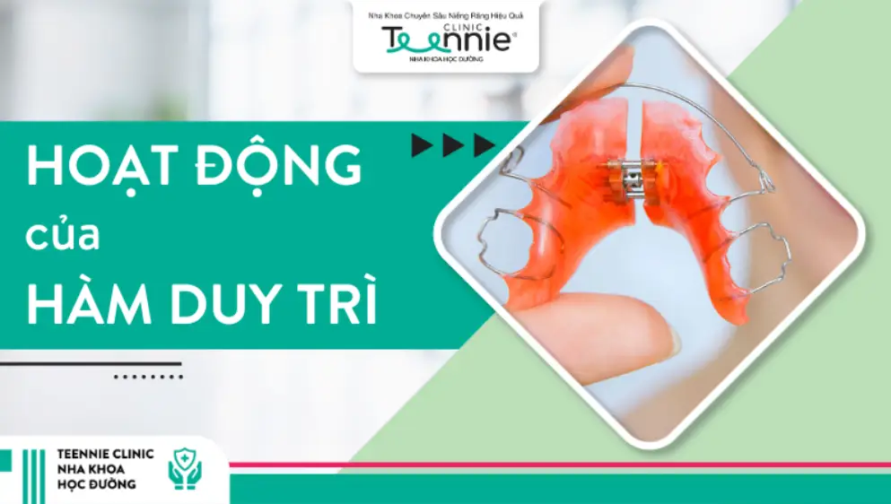 Hoạt động của hàm duy trì